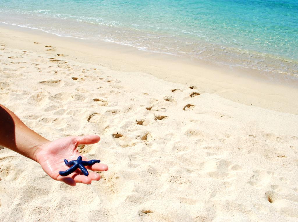 Taufua Beach Fales Lalomanu Екстер'єр фото